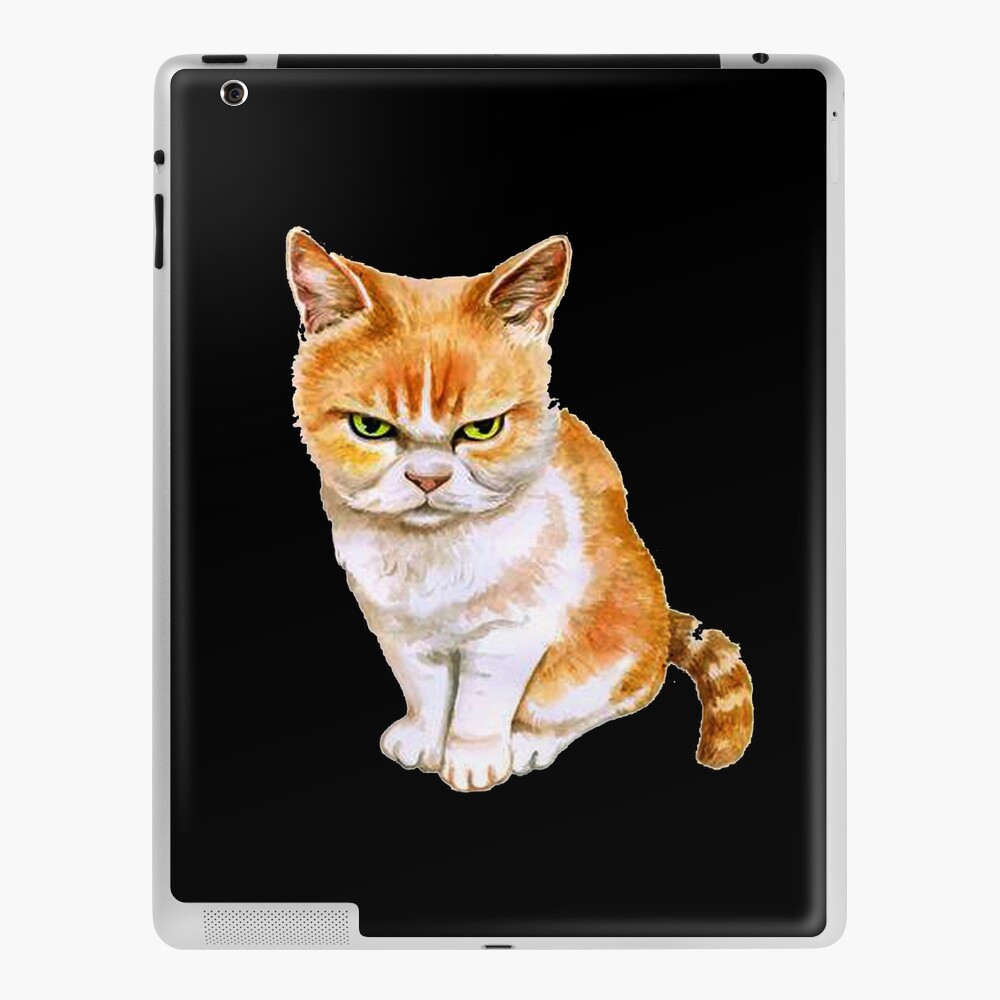 angry cat face meme iPad Case & Skin by auroragalavis