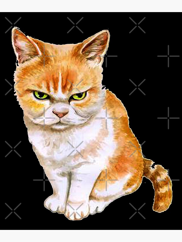 angry cat face meme | Photographic Print