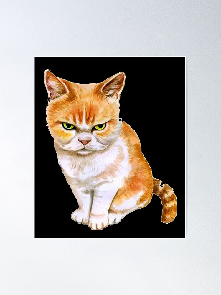 Angry Cat Meme I'm Grumpy So What Poster