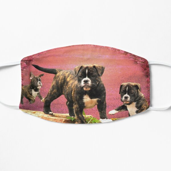 Maske Englische Bulldogge Comic Maske