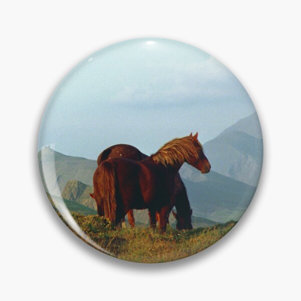 Item preview, Wild horses on the slopes of Mount Brandon designed and sold by Dermot O' Dowda.