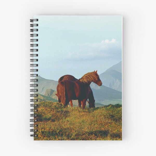 Item preview, Wild horses on the slopes of Mount Brandon designed and sold by Dermot O' Dowda.
