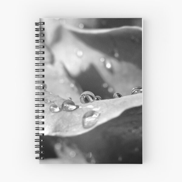 Item preview, RAINDROPS ON A ROSE designed and sold by Sandra Aguirre.