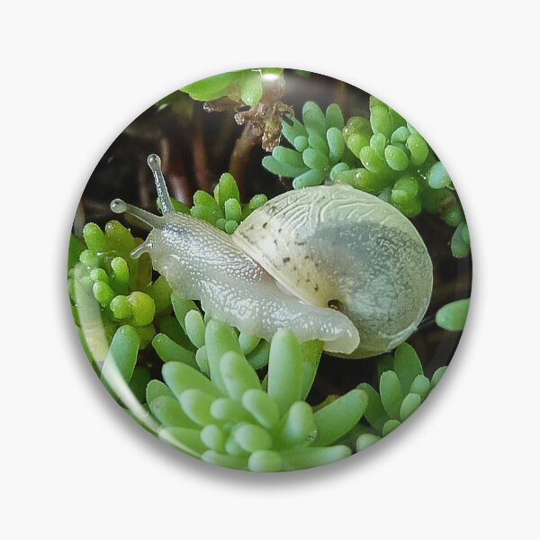 Item preview, Small White Snail on Green Sédum - Funny Science Biology Gift designed and sold by r-silver.