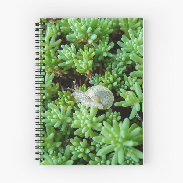 Item preview, Small White Snail on Green Sédum - Funny Science Biology Gift designed and sold by r-silver.