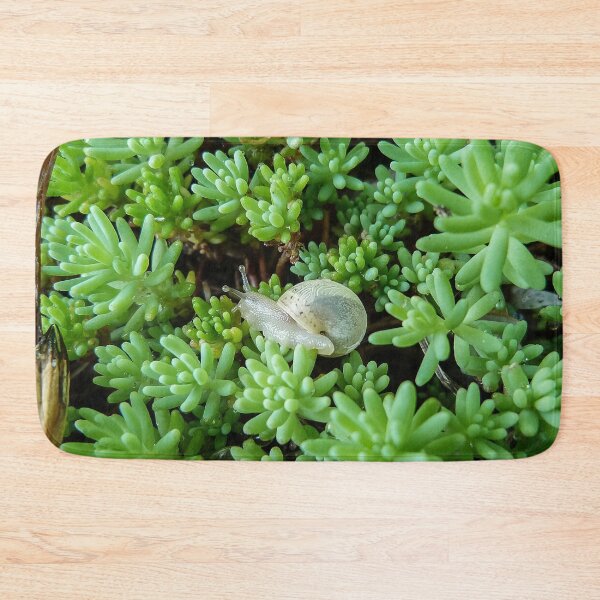 Item preview, Small White Snail on Green Sédum - Funny Science Biology Gift designed and sold by r-silver.
