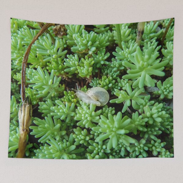 Item preview, Small White Snail on Green Sédum - Funny Science Biology Gift designed and sold by r-silver.