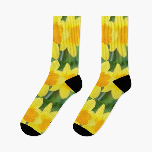 Item preview, Narcissus  'Armada'   Division 2 Large-cupped Daffodil  designed and sold by Chris Burrows.
