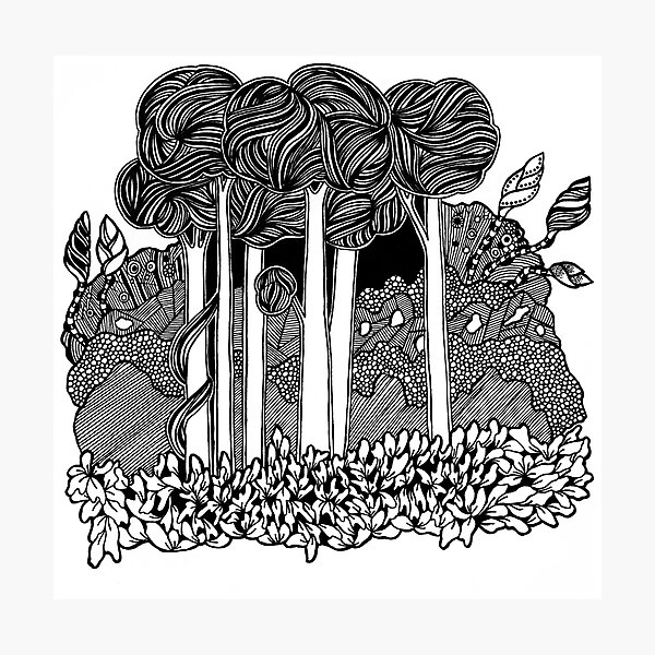 Tall Forest Black and White Doodle Art Photographic Print