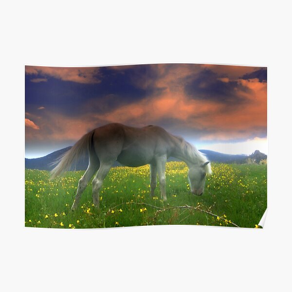 Field Of Dreams With Heavenly Skies  Poster