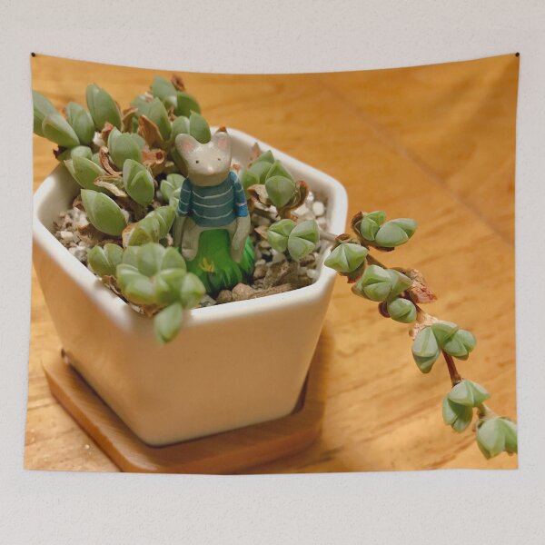 Item preview, Mouse Sitting on Succulent - Artifact designed and sold by joejiing.