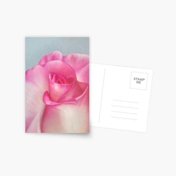 Pink Creation Postcard