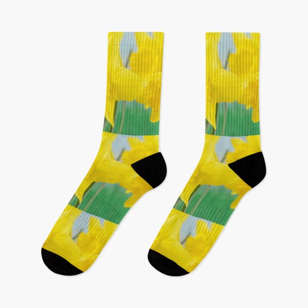Item preview, Narcissus  'Standard Value'   Division 1  Trumpet Daffodil  designed and sold by Chris Burrows.