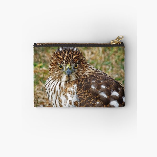 Item preview, Young Hawk designed and sold by Ladydi.
