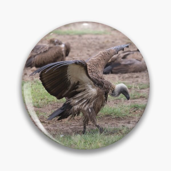 Item preview, White-Backed Vulture (Gyps africanus) designed and sold by Yair Karelic.