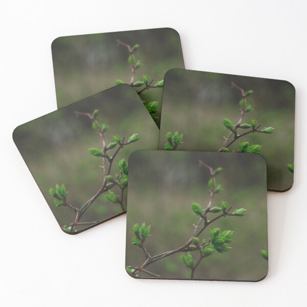 Item preview, Spring leaves designed and sold by urbonasphotos.