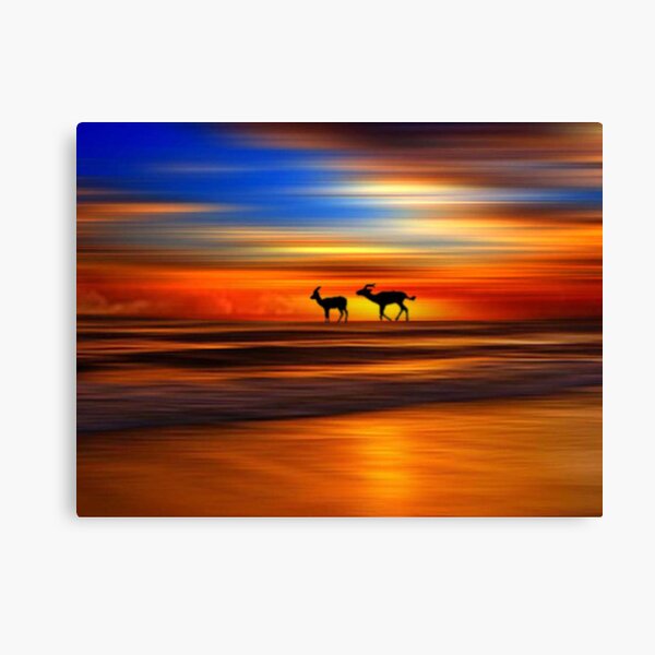 Sunset 4 Canvas Print