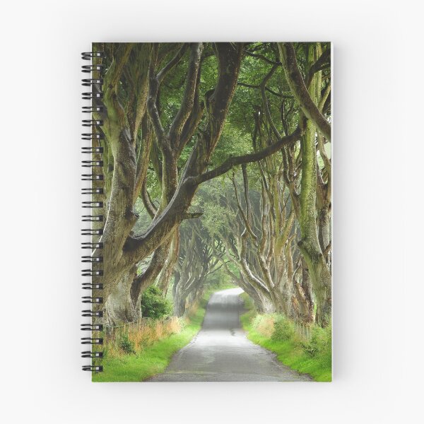 Item preview, dark hedges designed and sold by fensnapz.