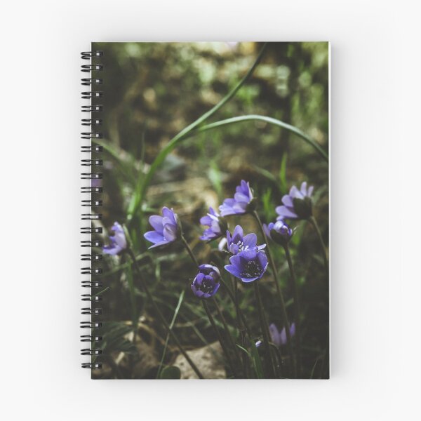 Item preview, Violets designed and sold by urbonasphotos.