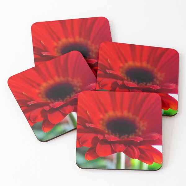 Item preview, Gerber Daisy designed and sold by DonnaMariePhoto.