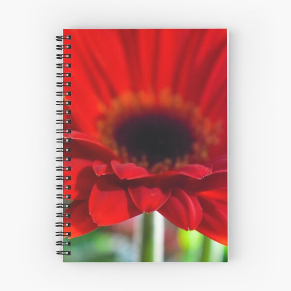 Item preview, Gerber Daisy designed and sold by DonnaMariePhoto.