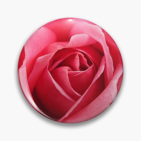 Item preview, Pink rose designed and sold by littleemma86.