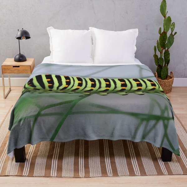 Item preview, Caterpillar of Machaon on Fennel - Funny Pop Art Insects Gift designed and sold by r-silver.