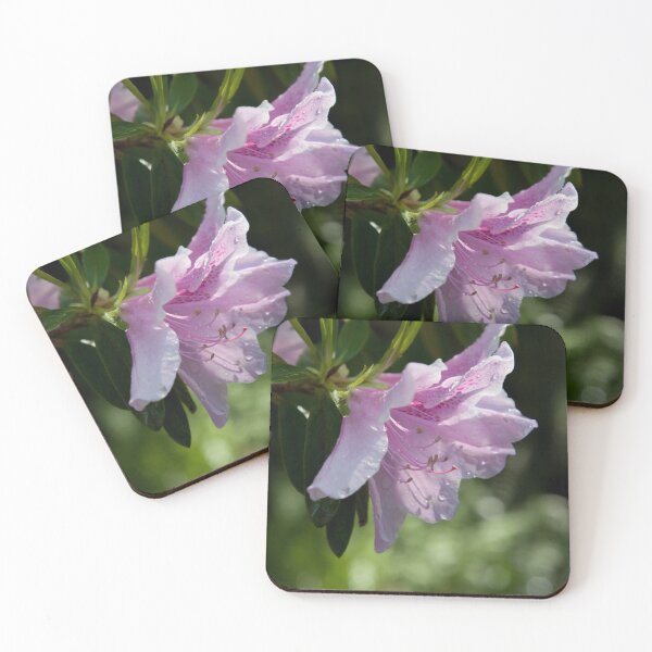 Item preview, Passionate Purple designed and sold by Allen Penton.