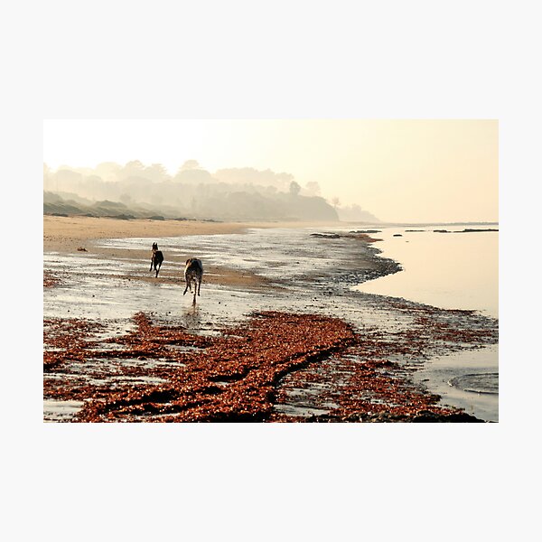Item preview, Foggy Morning designed and sold by GreyhoundSN.