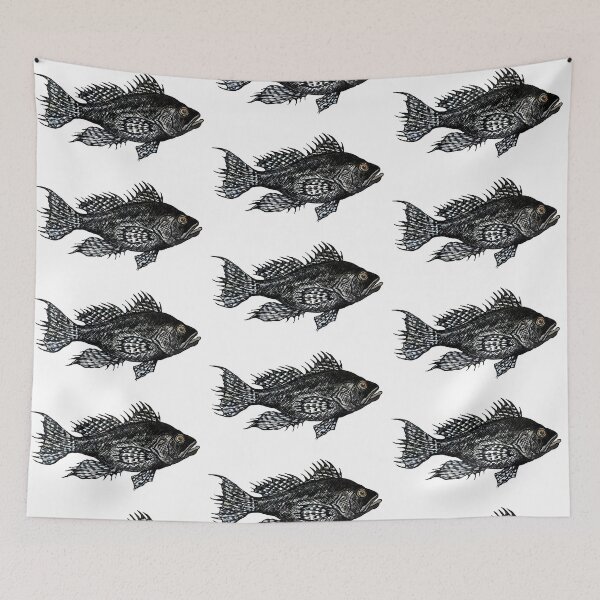 Item preview, Black Sea Bass Illustration designed and sold by Michelebuttons.