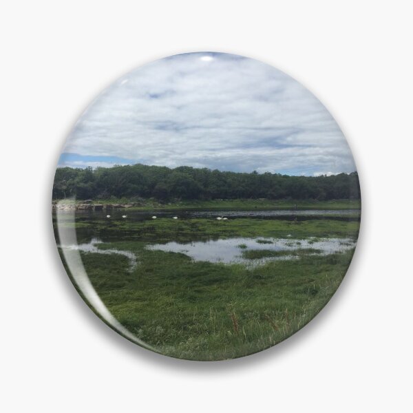 Item preview, Swans at Coole Park designed and sold by picsofthings.