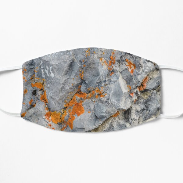 Orange Lichen on Rocks Flat Mask