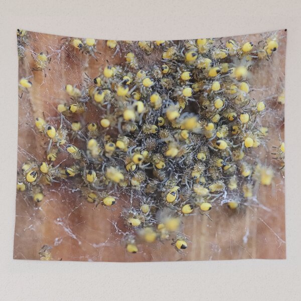 Item preview, Tiny Yellow Newborn Wasp Spiders  - Cute Spiders Gifts designed and sold by r-silver.