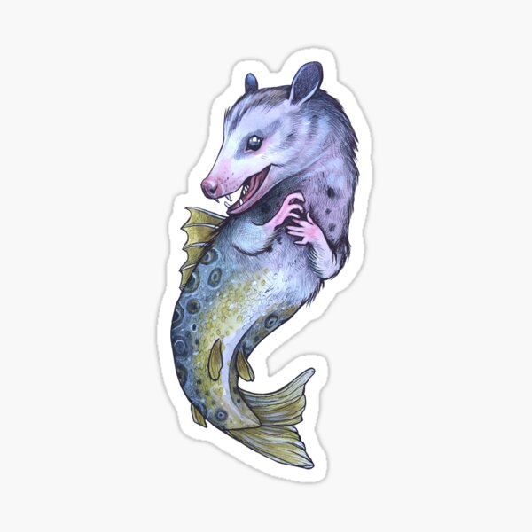 possum trout (pout) Sticker