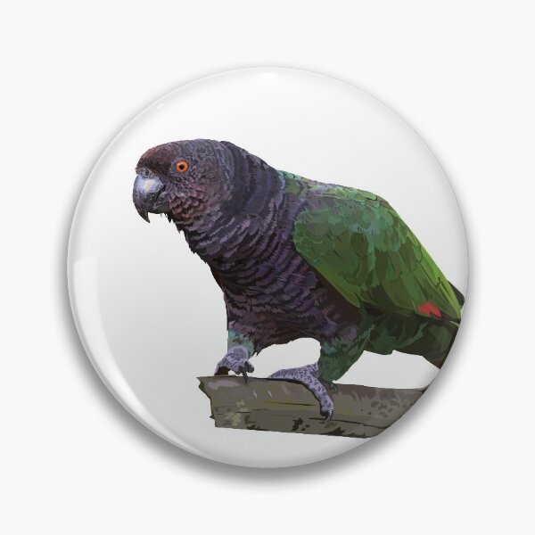 Artikelvorschau, Der kaiserliche Amazonas (Amazona imperialis) entworfen und verkauft von obscurite.