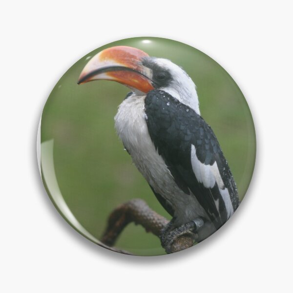 Item preview, Is this my good side? Hornbill designed and sold by Latch Farm  Studios.