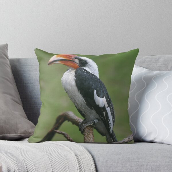 Item preview, Is this my good side? Hornbill designed and sold by Latch Farm  Studios.
