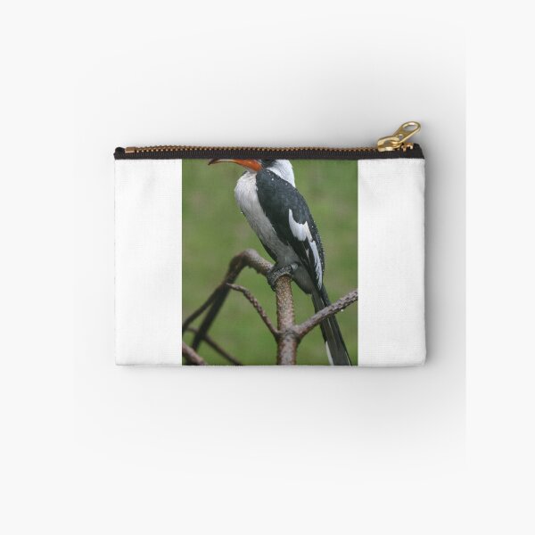 Item preview, Is this my good side? Hornbill designed and sold by Latch Farm  Studios.