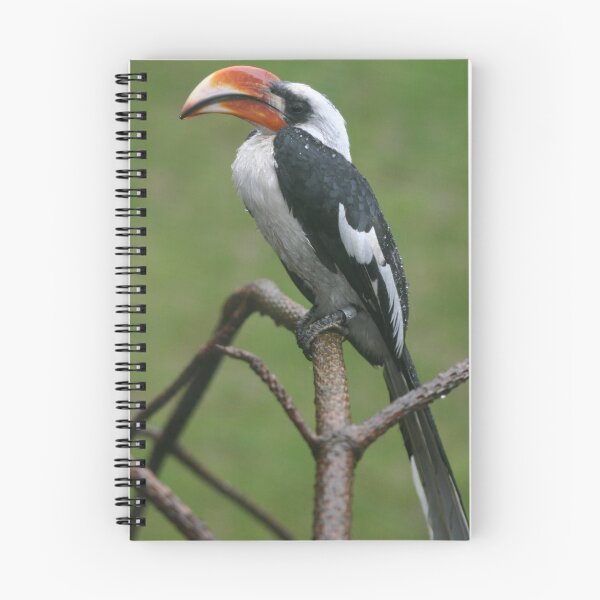 Item preview, Is this my good side? Hornbill designed and sold by Latch Farm  Studios.