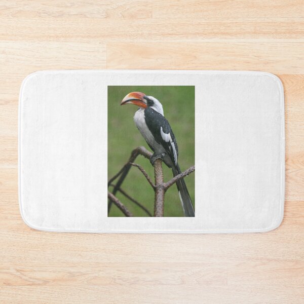 Item preview, Is this my good side? Hornbill designed and sold by Latch Farm  Studios.