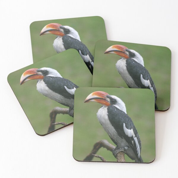 Item preview, Is this my good side? Hornbill designed and sold by Latch Farm  Studios.