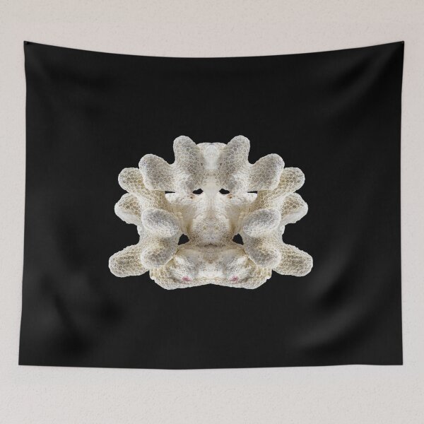 Item preview, White perfectly symmetrical coral fossil isolated on black background designed and sold by Grégory DUBUS.