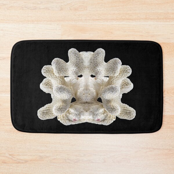 Item preview, White perfectly symmetrical coral fossil isolated on black background designed and sold by Grégory DUBUS.