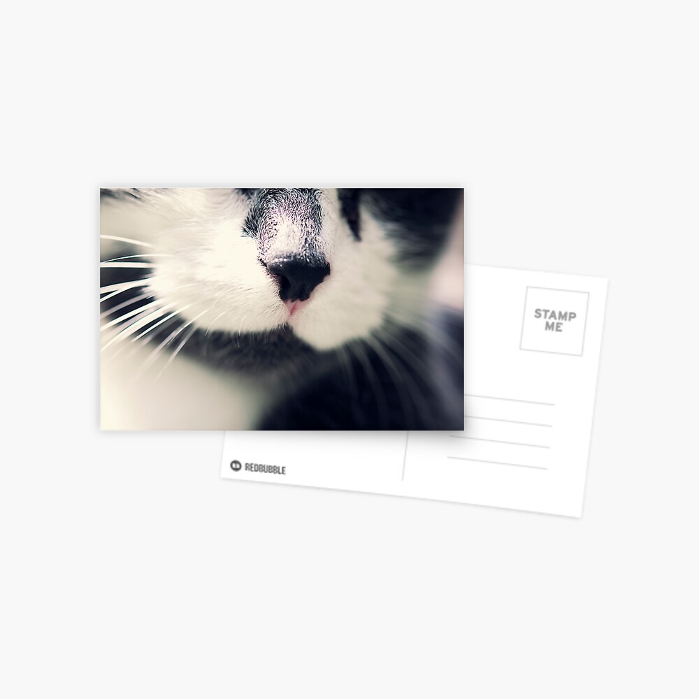 Item preview, Postcard designed and sold by petegrev.