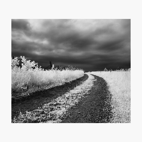 Item preview, Landscape designed and sold by Jean-François Dupuis.