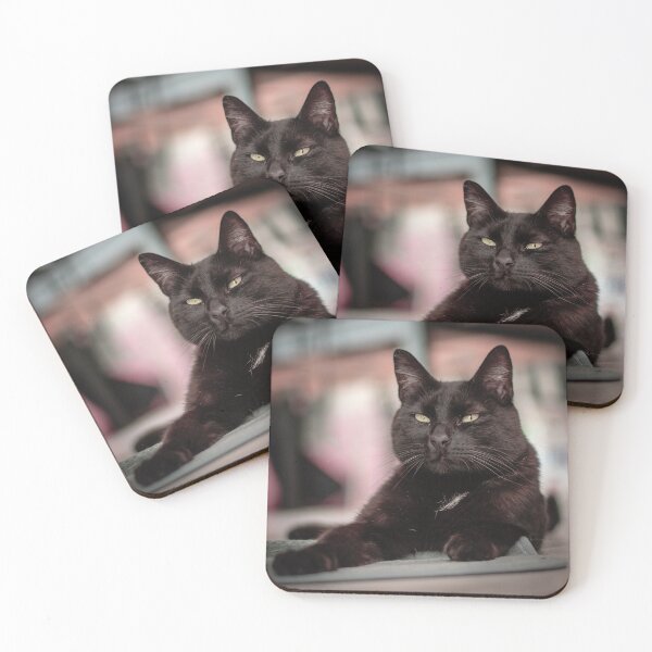 Item preview, Leeroy the cat! designed and sold by MiyokoKells.