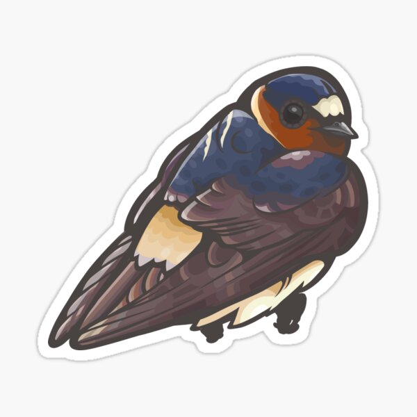 Cliff Swallow Sticker