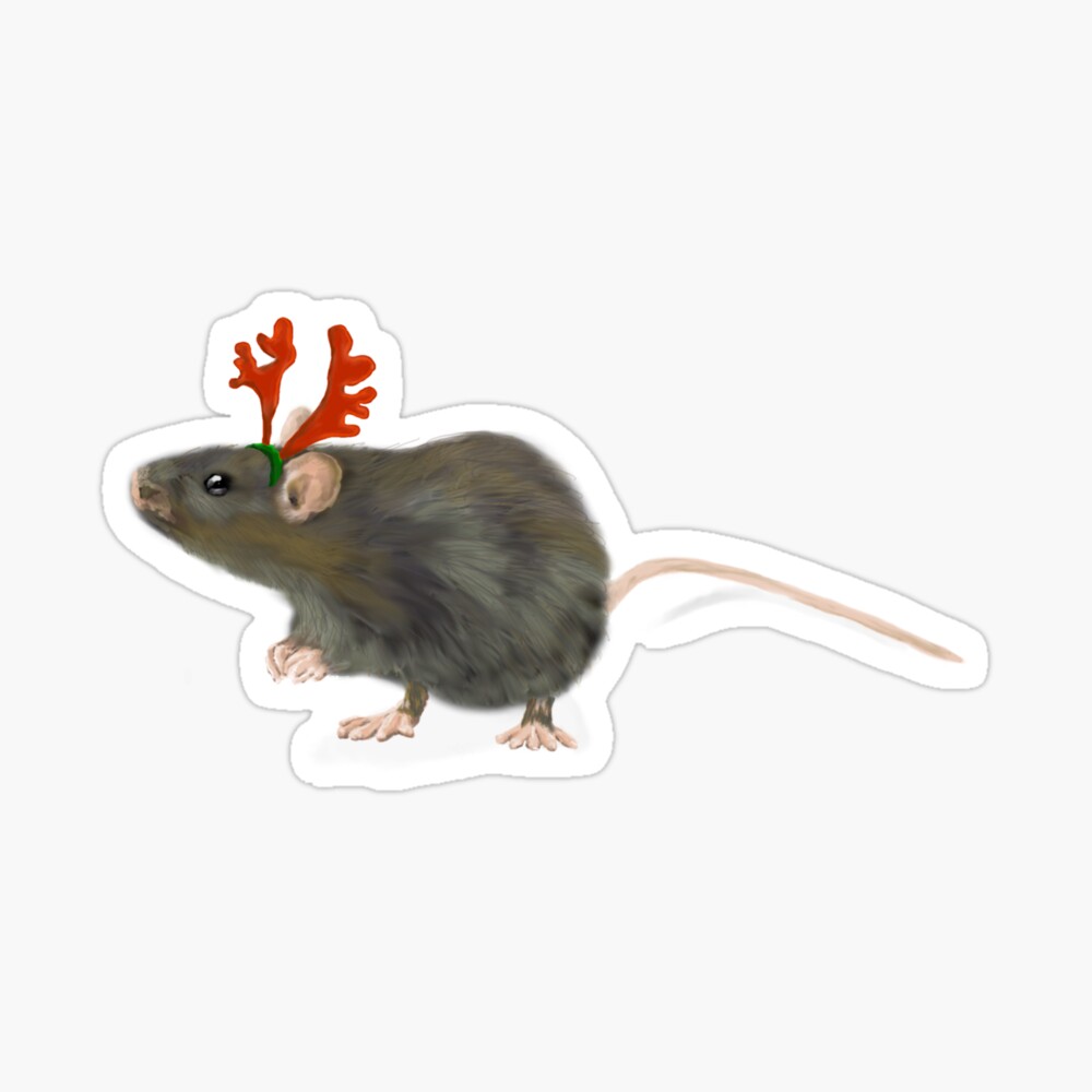 Christmas Rat Kids T Shirt By Annewinkler1 Redbubble