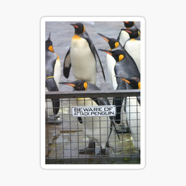 Warning - attack penguins! Sticker