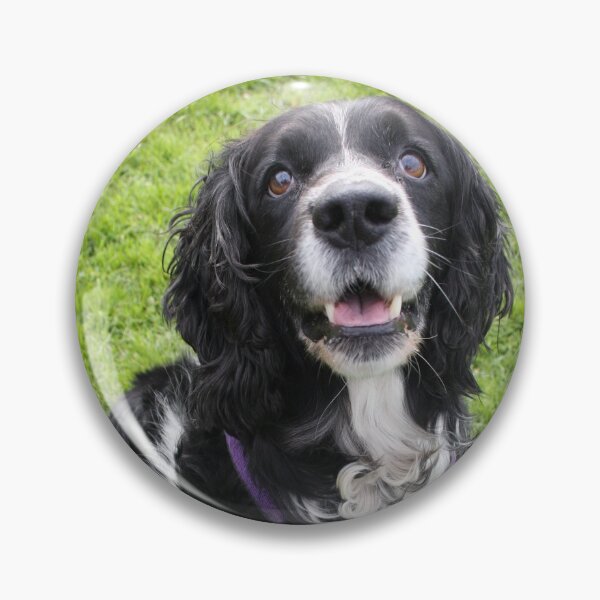 Item preview, Jasper says 'is it for me?' designed and sold by Latch Farm  Studios.